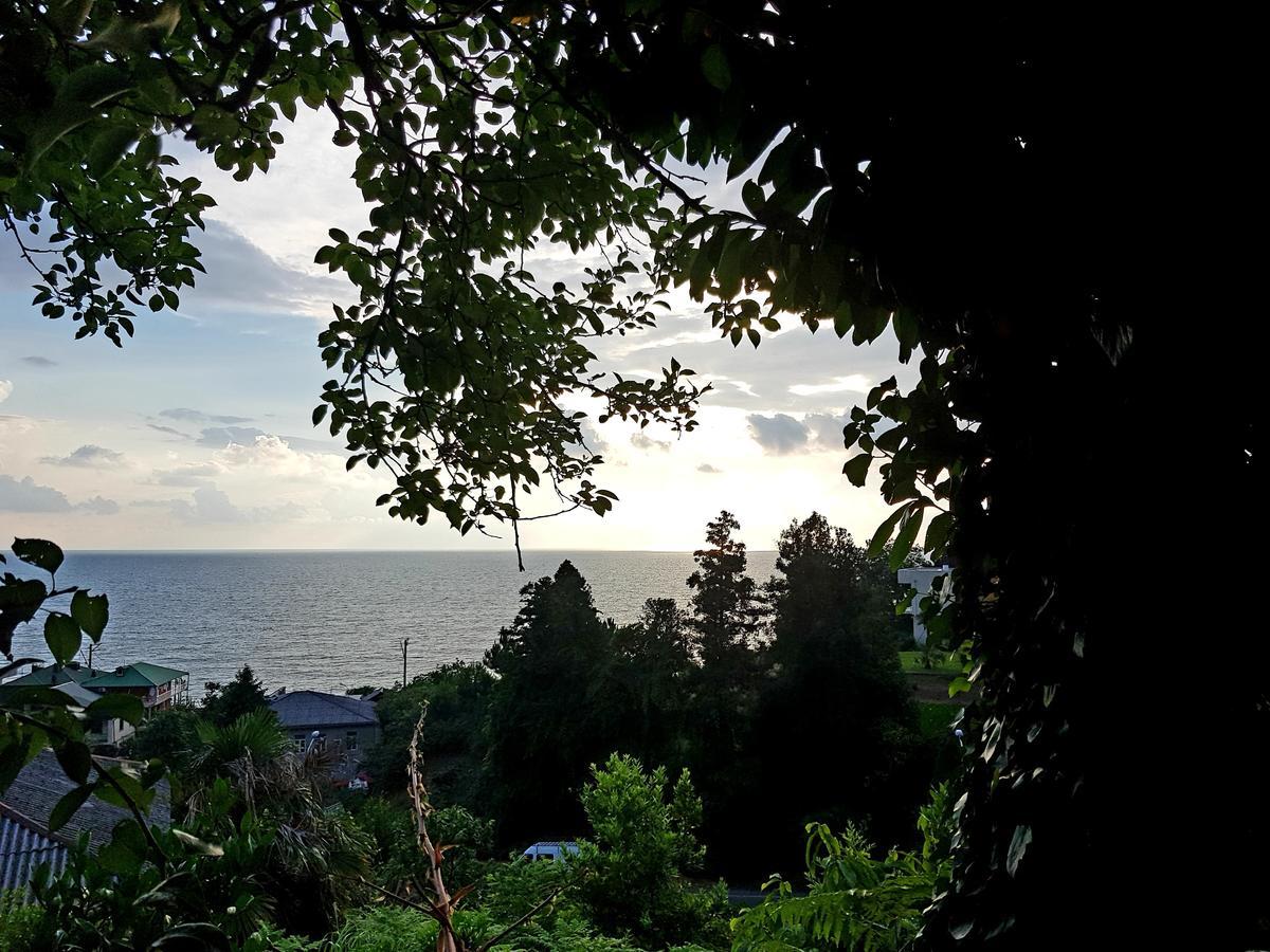 Guesthouse Eco Czakwi Zewnętrze zdjęcie