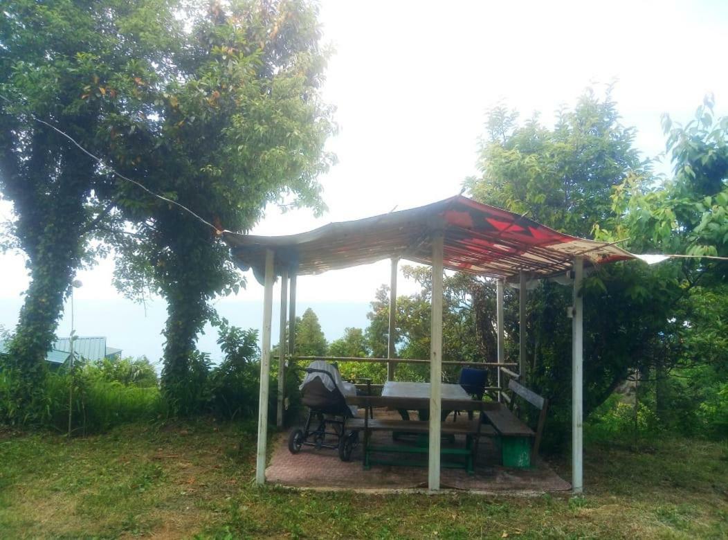 Guesthouse Eco Czakwi Zewnętrze zdjęcie