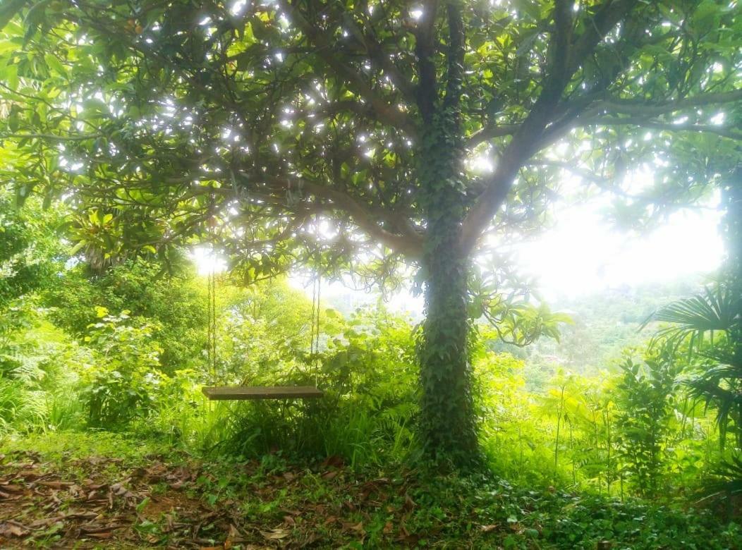 Guesthouse Eco Czakwi Zewnętrze zdjęcie