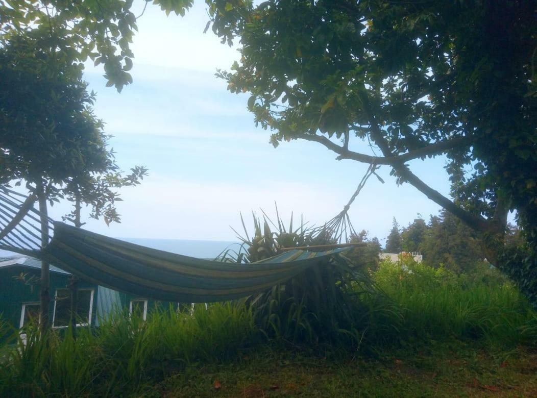 Guesthouse Eco Czakwi Zewnętrze zdjęcie
